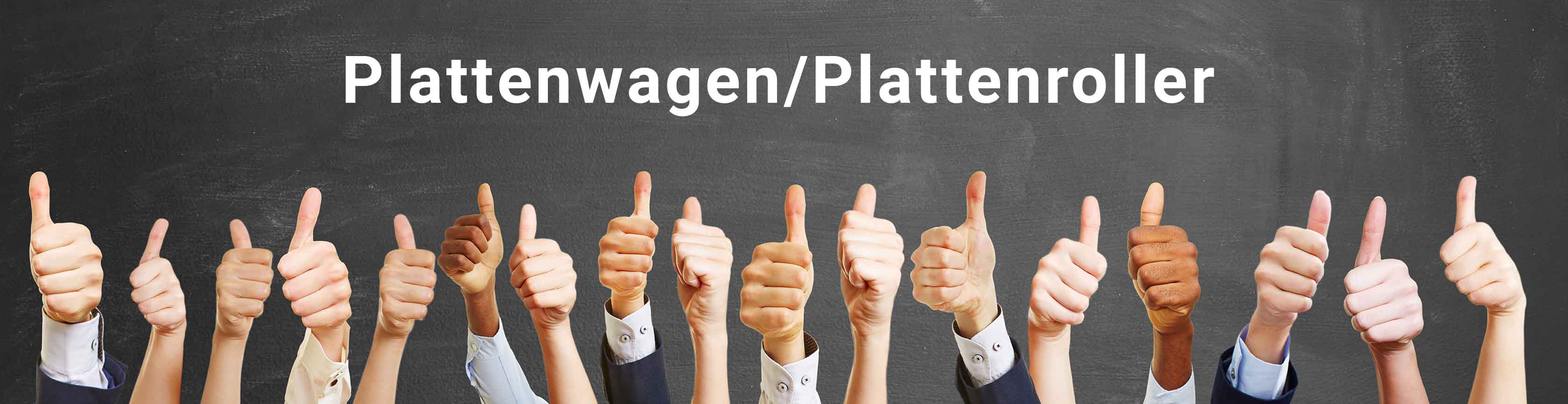 Plattenwagen_Plattenroller_BERGER-Shop_ASt