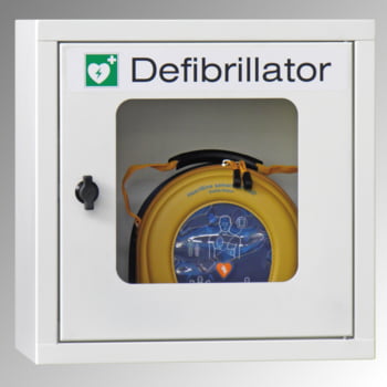 Defibrillatorenschrank - 400x400x220 mm (HxBxT) - Sichtfenster - lichtgrau