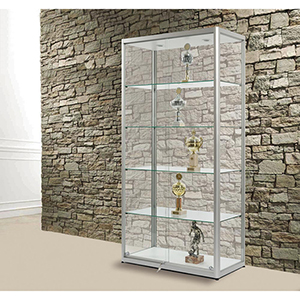 Vitrine, Standvitrine mit Schiebetüren, BxTxH 1000x500x2000 mm, 4 Glasböden, alusilber, inkl. Beleuchtung